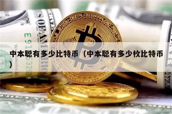 中本聪有多少比特币（中本聪有多少枚比特币）-第1张图片-欧易下载