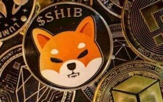 比特儿交易平台(比特儿交易平台网页)