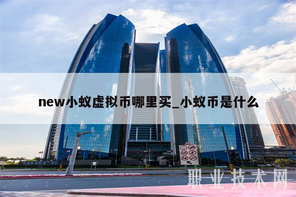 new小蚁虚拟币哪里买_小蚁币是什么