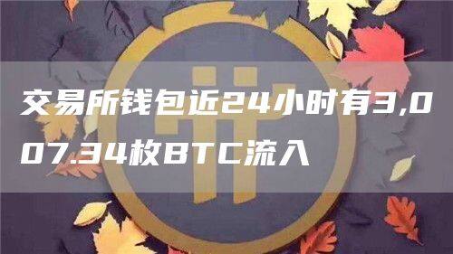 交易所钱包近24小时有3,007.34枚BTC流入-第1张图片-欧易下载 交易所钱包近24小时有3,007.34枚BTC流入-第1张图片-欧易下载