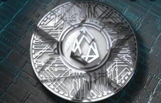 柚子币app下载安卓 柚子币交易所官方app