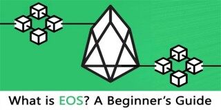 柚子币交易所_柚子币交易平台官网版下载