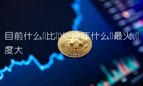 目前什么币比较火 今年什么币最火,热度大